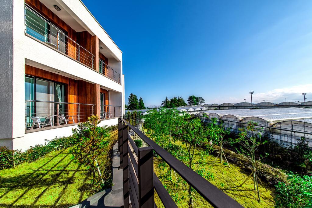 Dorami Pension Seogwipo Exteriör bild
