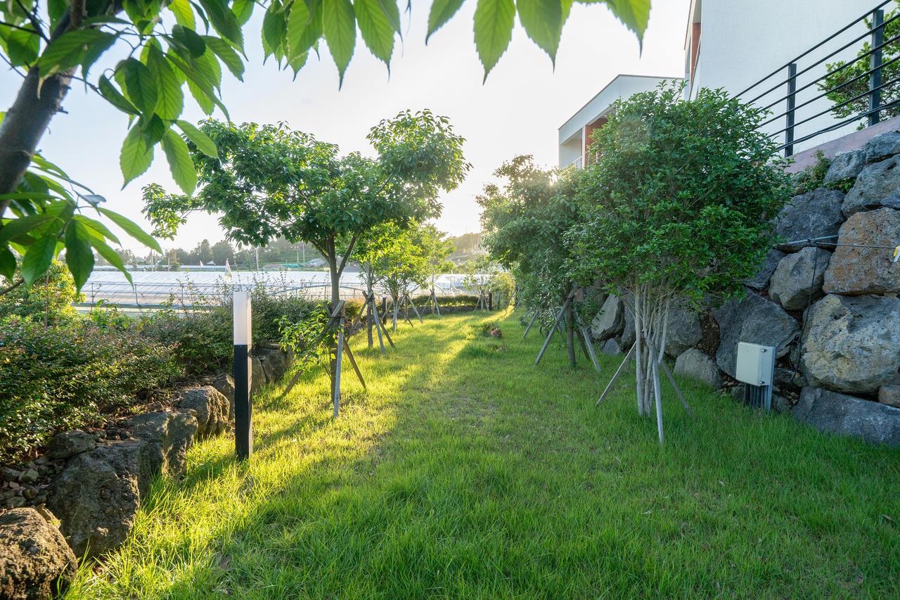 Dorami Pension Seogwipo Exteriör bild